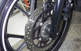 OTHER Vｽﾄﾛｰﾑ250A 2019