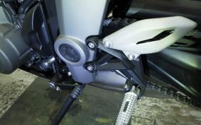 TRIUMPH DAYTONA660 2026