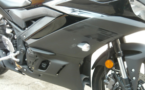YAMAHA YZF-R25 RG43J