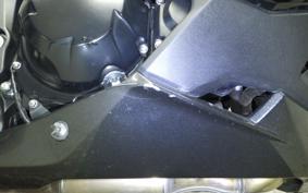 KAWASAKI NINJA 1000SX 2021 ZXT02K
