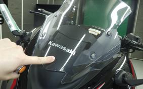 KAWASAKI NINJA 1000SX 2025 ZXT02K