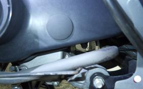 SUZUKI ADDRESS V50