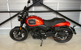HARLEY X500 2024 W5B
