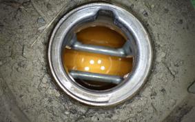HONDA TACT Basket 2026 AF79