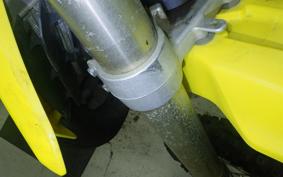 SUZUKI RM250
