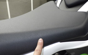 KAWASAKI NINJA ZX-6R A 2025