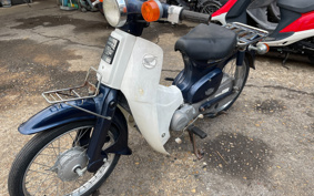 HONDA SUPER CUB50 C50