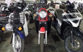 HONDA ｸﾛｽｶﾌﾞ 2024 JA10