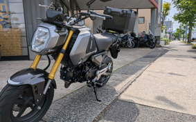 HONDA GROM JC92