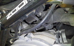 HONDA ZOOMER 2025 AF58