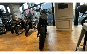 TRIUMPH SCRAMBLER 2022 DAD78G