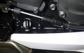 TRIUMPH STREET TRIPLE RS 2019