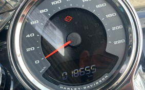 HARLEY FLFBS 2021 YGK