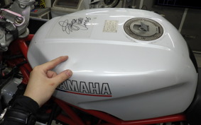 YAMAHA TRX850 1995 4NX