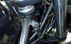 KAWASAKI NINJA 400 2022 EX400G