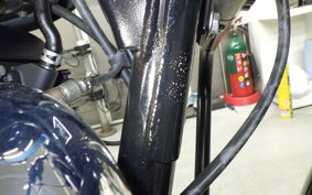 OTHER +ENFIELD ﾒﾃｵ350 2022