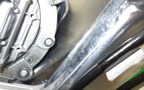 HARLEY FLBS 1870 2019