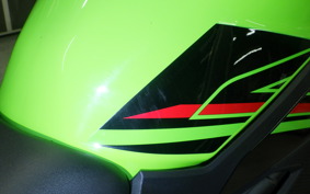 KAWASAKI ZX-4RR 2023 ZX400P