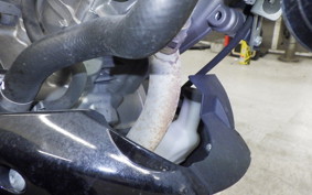 SUZUKI GSX-S125 2019 DL32B