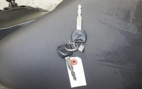 HONDA REBEL 250 2020 MC49