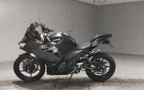 KAWASAKI NINJA 250 EX250P
