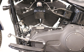 HARLEY FLSTSB 2008 JM5