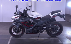 OTHER NINJA 400-2 2023