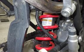 KAWASAKI KLX250D TRACKER X LX250V