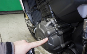 TRIUMPH SPEED TRIPLE RS 2021