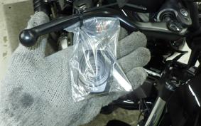 HARLEY RH975S 2023