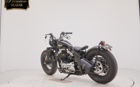 OTHER UNREGISTERED MODEL by BDS250 2024