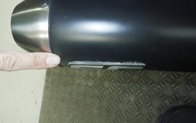 TRIUMPH SPEED TWIN 900 2025