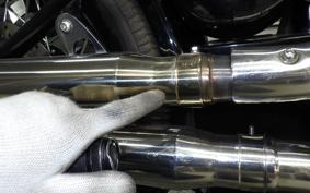 OTHER +UNREGISTERED MODEL by BDS250