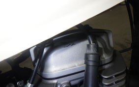 HONDA APE 50 2021 AC16