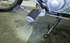YAMAHA VIRAGO 250 3DM