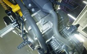 HONDA MONKEY 125 ABS 2025 JB02