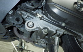 HONDA TACT Basket 2024 AF75