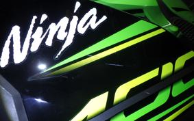 KAWASAKI NINJA 400 2019 EX400G