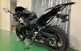 KAWASAKI NINJA 250 EX250P