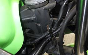 KAWASAKI NINJA 250 EX250L