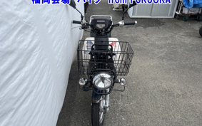OTHER C110PU LOW 2