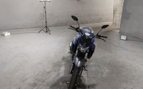 YAMAHA FZ25 RG42