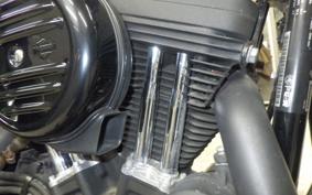 HARLEY XL1200NS 2019