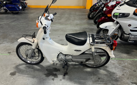 HONDA SUPER CUB110 JA07