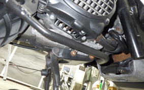 HONDA ZOOMER 2014 AF58