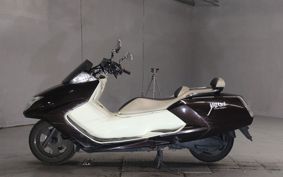 YAMAHA MAXAM250 SG21J