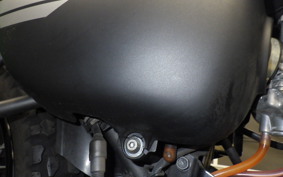 KAWASAKI W175 SE 2014