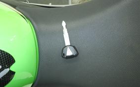 KAWASAKI NINJA 400 2019 EX400G