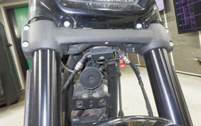 HARLEY FXFB1750 2019
