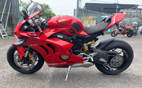 DUCATI PANIGA-REV4 2020